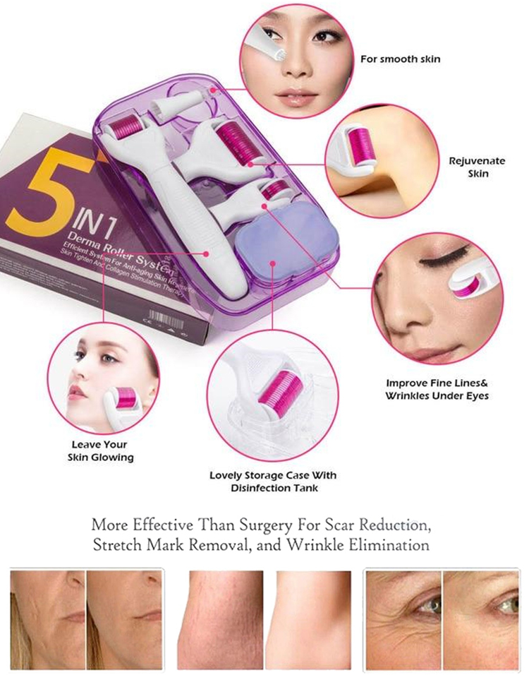 derma roller titanium micro needles system