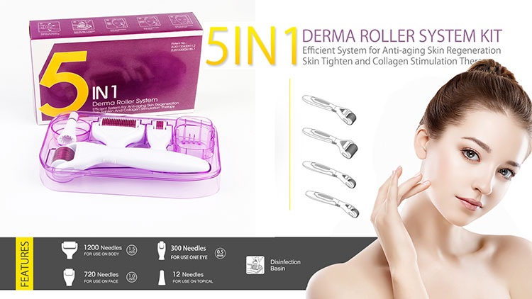 dns titanium microneedle derma roller