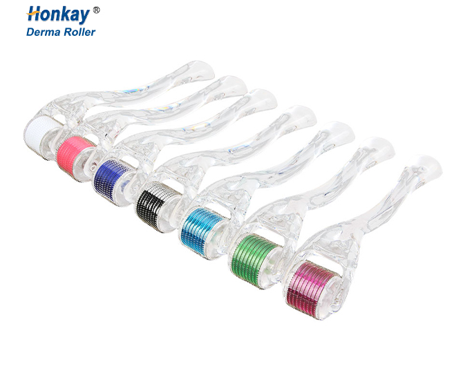 derma roller system 540 needles