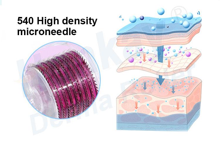 hydra derma roller